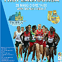 Banner Tropeaincorsa 2024 90x140